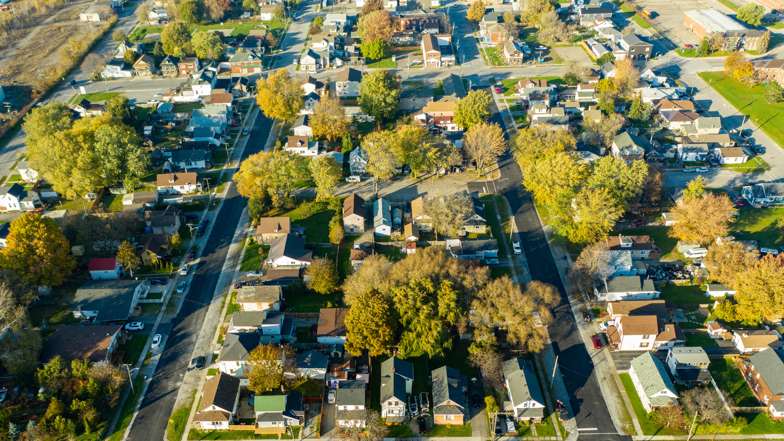 Urban Forest Assessment Management Plan